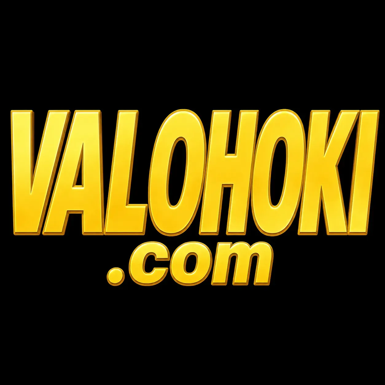 Logo valohoki